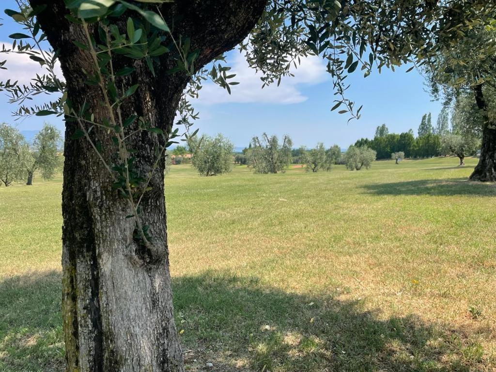 Garda Golf Country Chic Home Soiano del Lago Kültér fotó